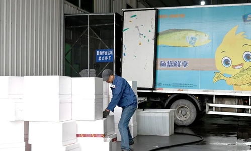 宁德蕉城水产业满产赶订单，积极出海拓市场